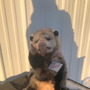 Meet your Posher, Keith